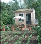 Gir Birding Lodge Sasan Gir Exterior photo